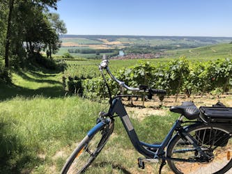 Tour de día completo en bicicleta eléctrica en Champagne y almuerzo.